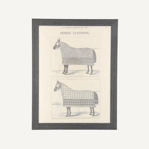 Found Equestrian Prints